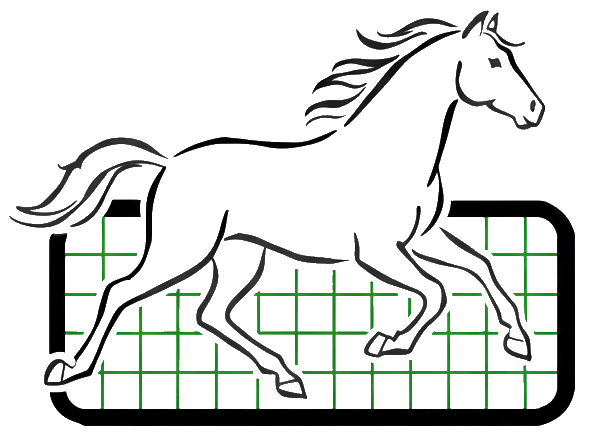 Logo Net4Horse